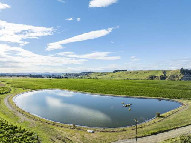 Mixed Varietal Vineyards, Scale and Location