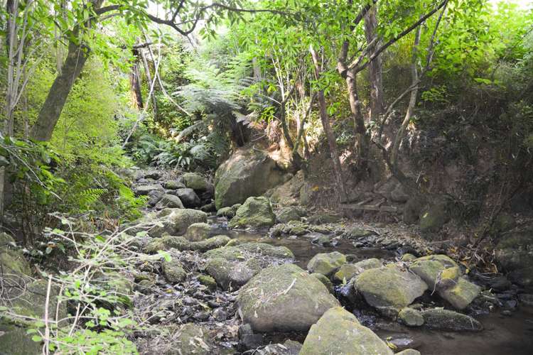 459 Okuti Valley Road Little River_15