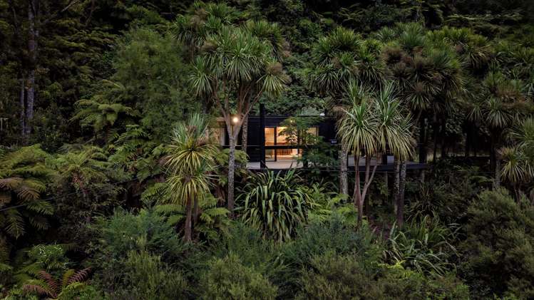 250 Pakihi Road Opotiki_39