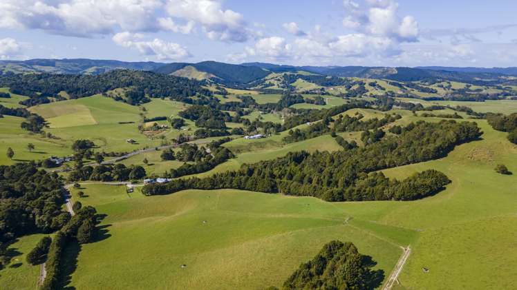 173 Day Road Wellsford_18