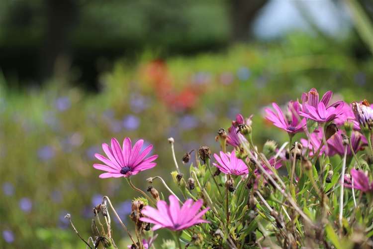 145 Hall Road Rangiriri_41