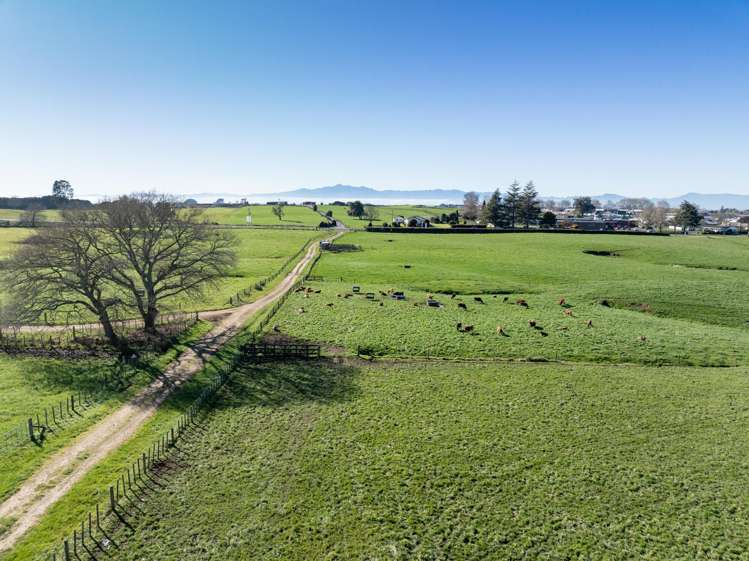 Morrinsville-Tahuna Road Morrinsville_7