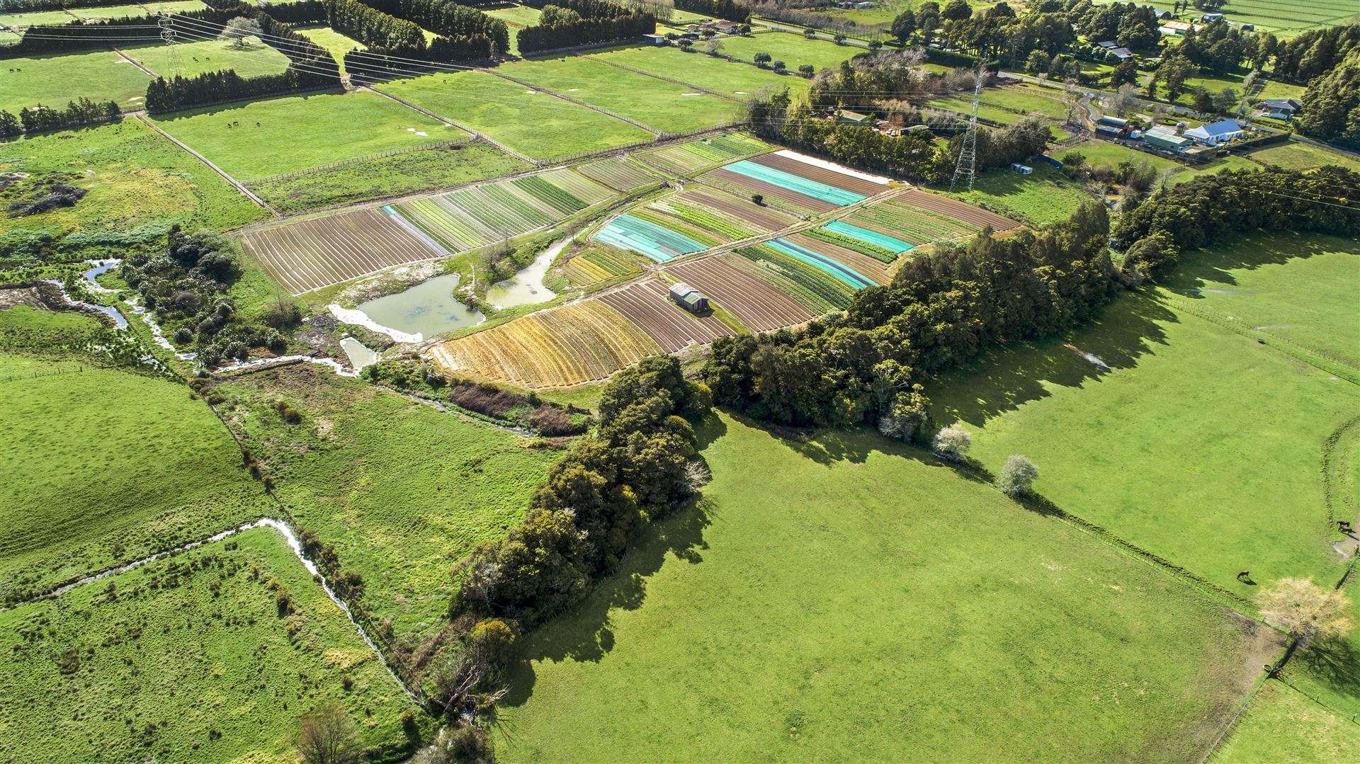 47 Parish Line Road Clevedon_0