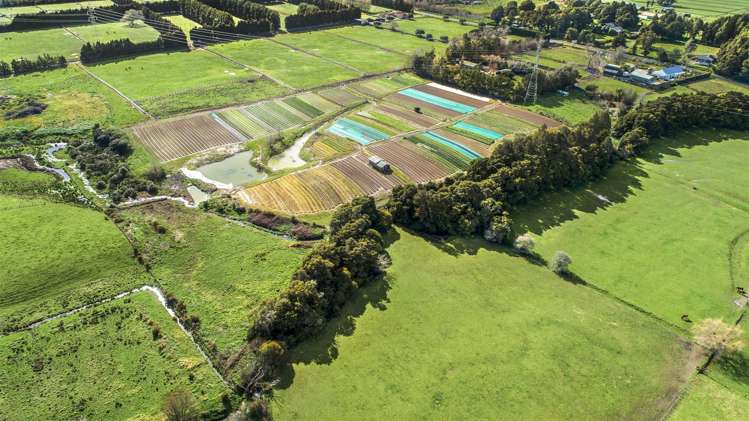 47 Parish Line Road Clevedon_0