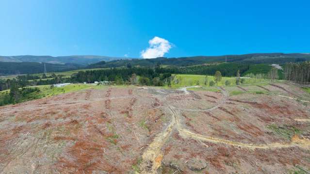 Fletcher Road, Table Hill Milton_3