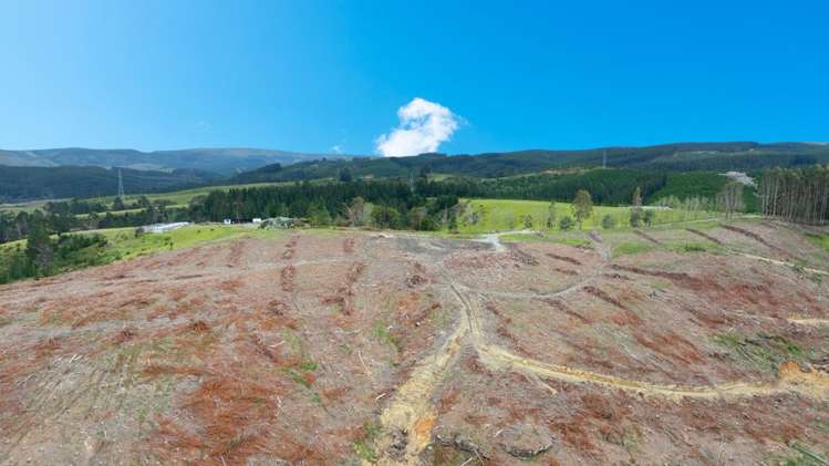 Fletcher Road, Table Hill Milton_3