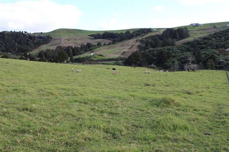 432 Prescott Road Ruakaka_5