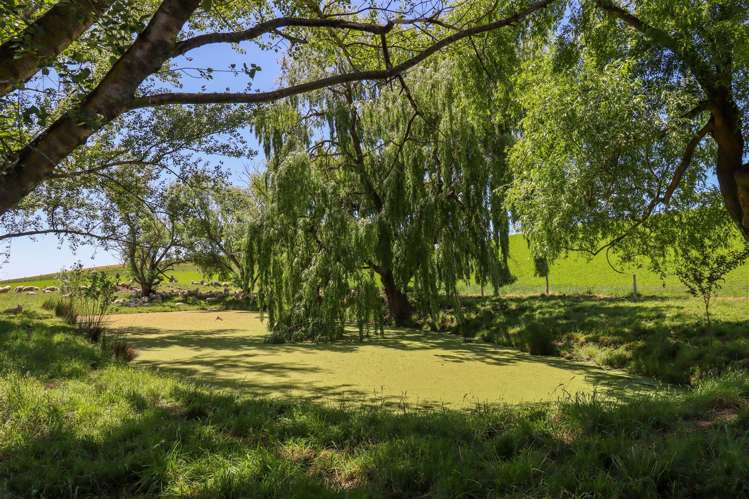 231 Robinson Road Cave_15