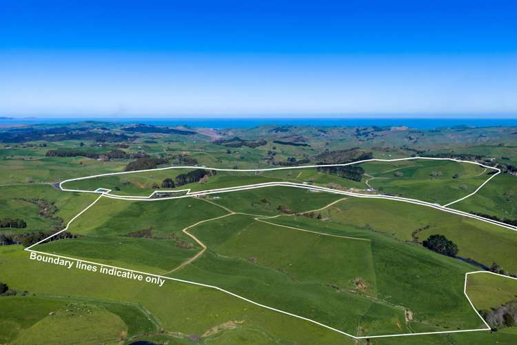 44 Te Papatapu Road Raglan_4
