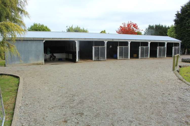 125 Norman Road Winton Surrounds_14