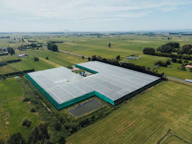 3 ca/ha R19 kiwifruit orchard with upside!