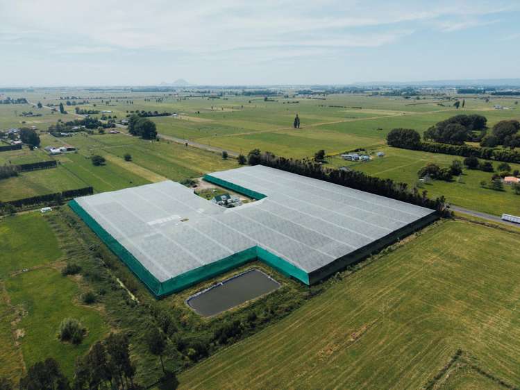 206 Awaiti South Road Otakiri_0