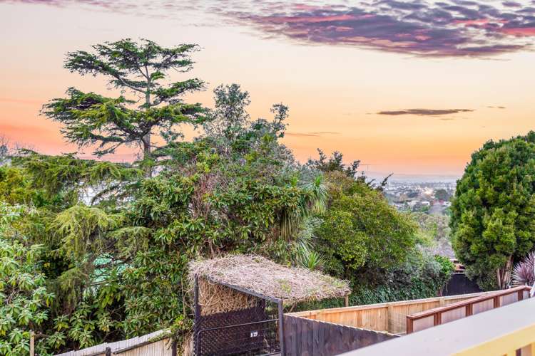 1/29 Kemp Road Massey_15