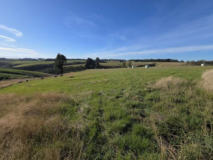 80 Cameron Road Balclutha_6