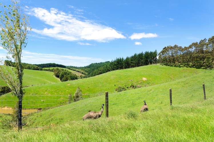 480 Creightons Road Clevedon_19