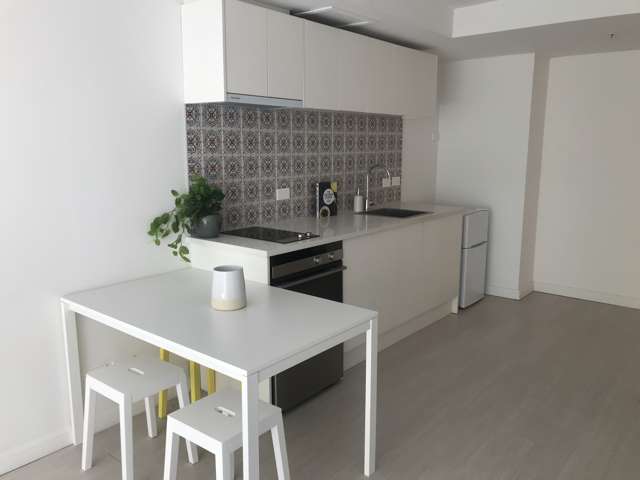 L4/168 Hobson Street Auckland Central_1