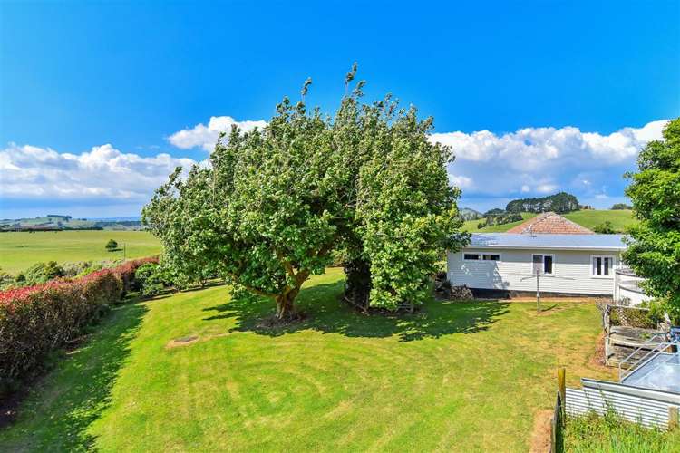 340 Kauri Road Onewhero_14