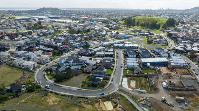 Roskill South and Waikowhai Mt Roskill South_1