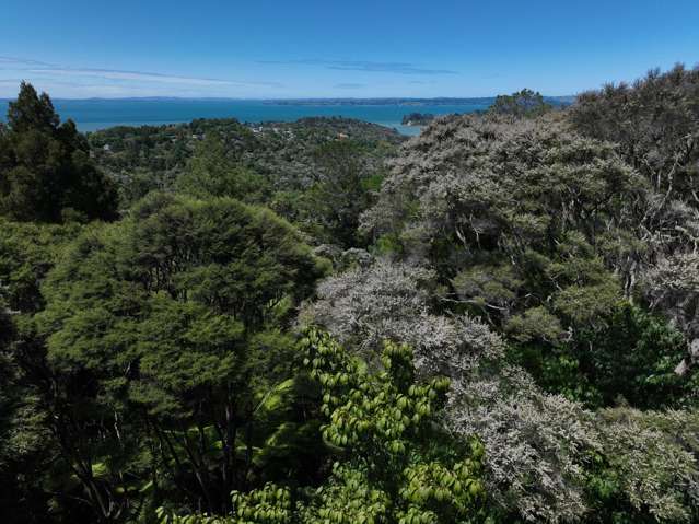 14 Scenic Drive Titirangi_2