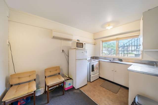 1/21 Britannia Street Petone_2