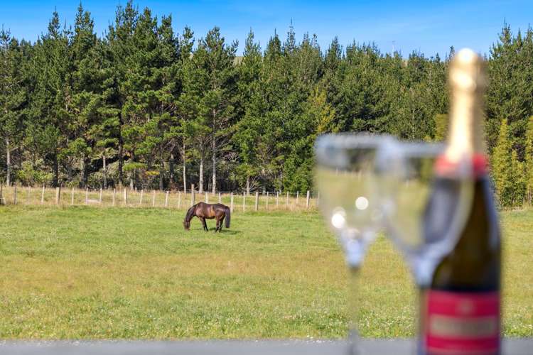 212 Mangakaretu Road Kerikeri Surrounds_3