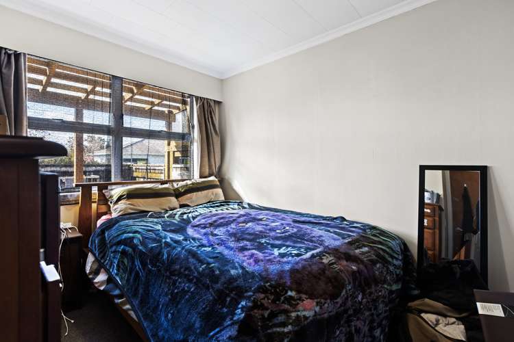 18 Saxton Road Upper Vogeltown_12