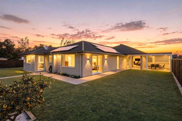 82 Colemans Road Springlands_2