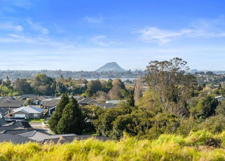 111 Quail Ridge Ohauiti_4