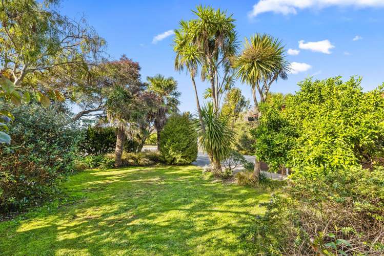 10 Cedar Drive Paraparaumu Beach_2