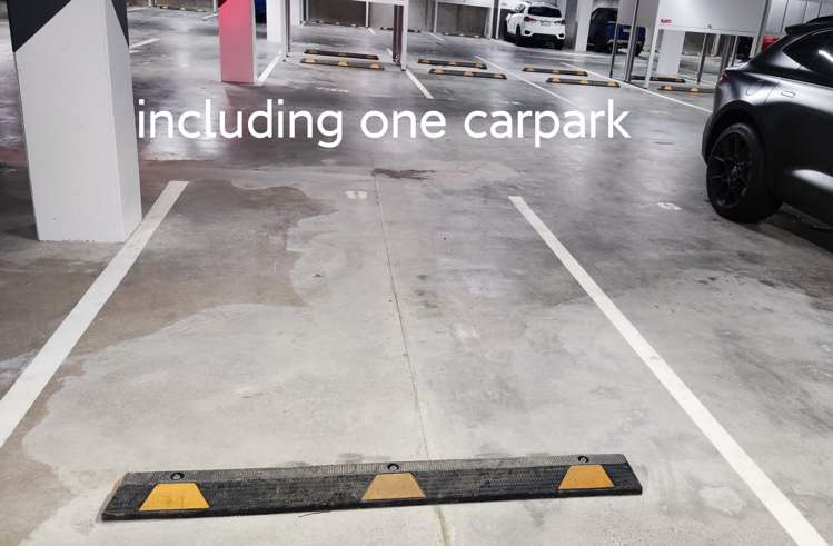 118/223a Green Lane West Auckland_14
