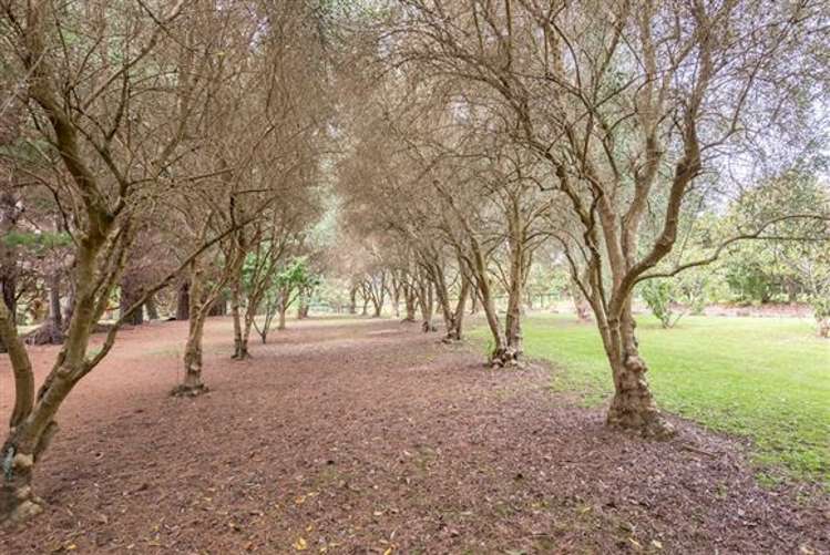 240 South Head Road South Head_10