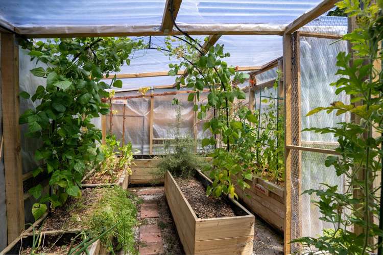 52 Shelley Street Leamington_20