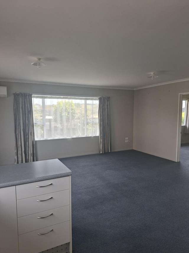 31a Crown Street Balclutha_3