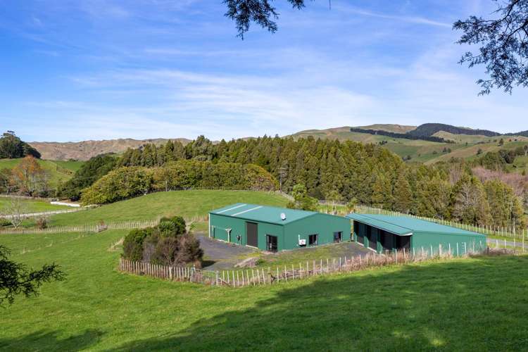 143 Pond Road Raglan_17
