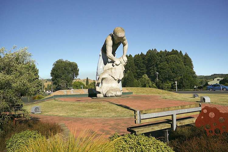 2 Hinerangi Street Te Kuiti_23