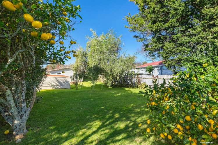 33 Domain Street Waiuku_18