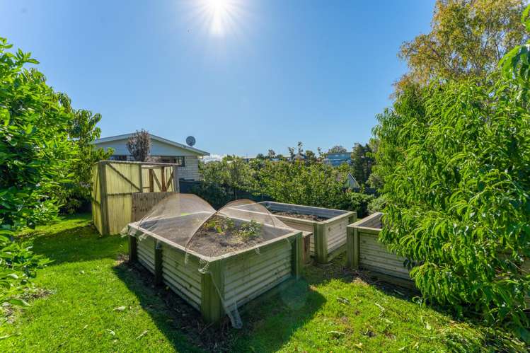 157 Otipua Road Watlington_22