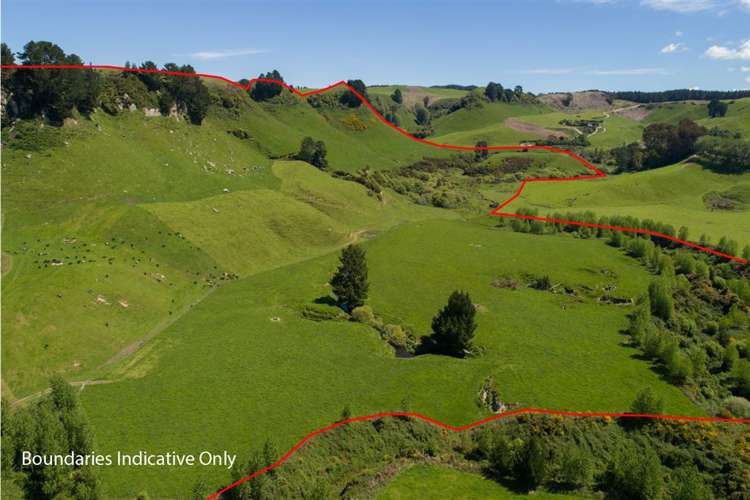 1943 Tutukau Road Wairakei and Surrounds_10