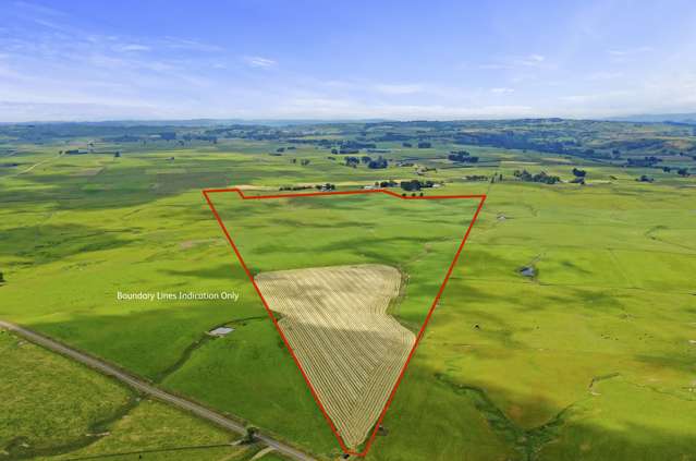 Bareland opportunity - 58 ha