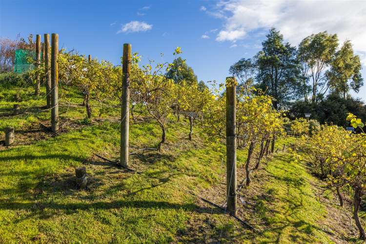 58 Rotowhenua Road Poraiti_19