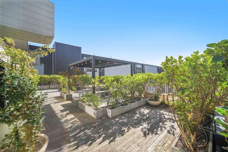 204/5 Hohipere Street 10021_13