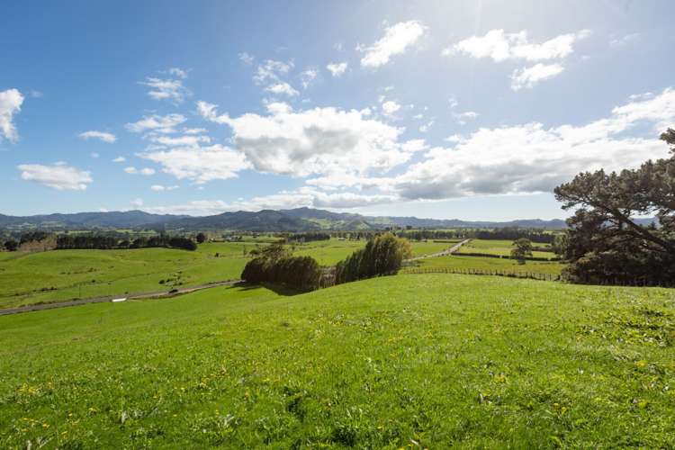 730 Waitawheta Road Waihi_12