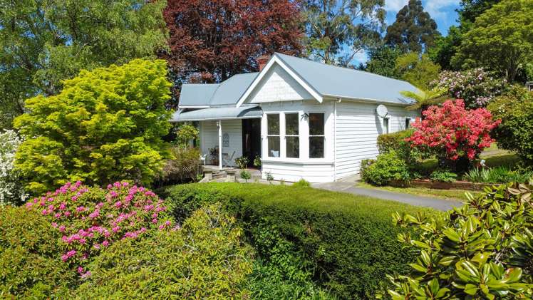 42 & 44 Crown Street North East Valley_2