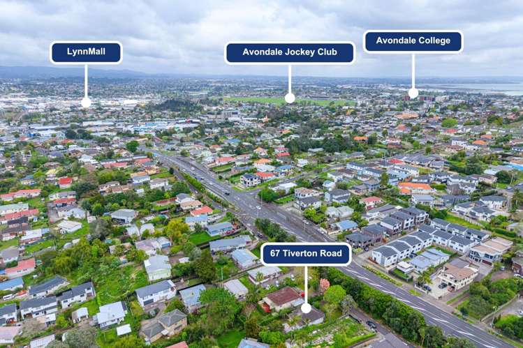 67 Tiverton Road Avondale_16