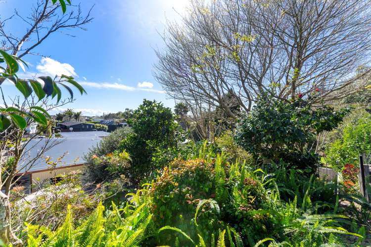 76b The Circle Manly_16