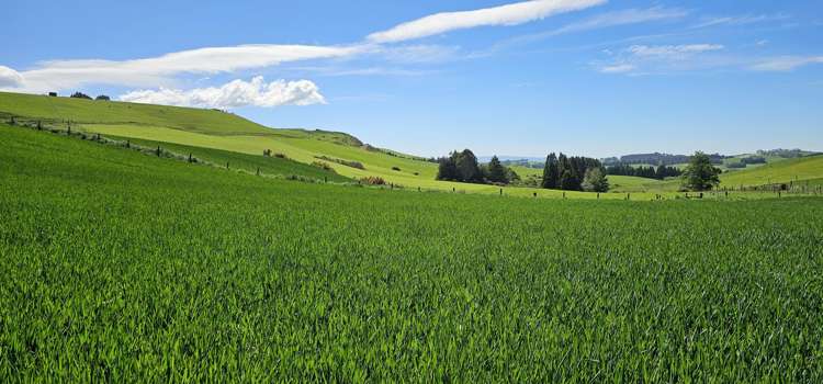 58 Blackhill Road Chatton_13