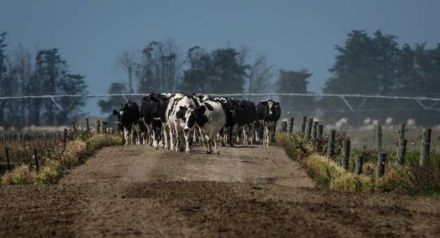 558 Seadown Road Seadown_2