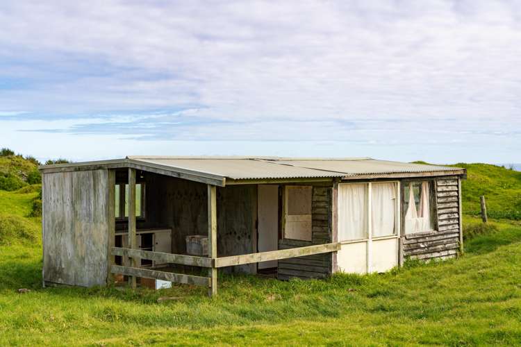 Lot 7 Mahuta Road Dargaville_3