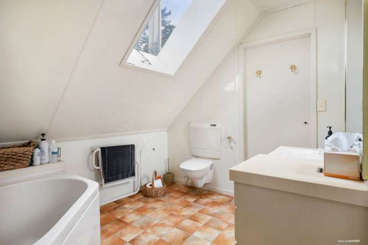 194 Ara-Kotinga Whitford_22