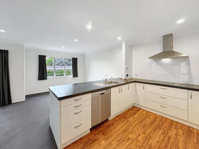 66B Totara Street 1230_4